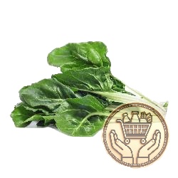 acelga 1kgs