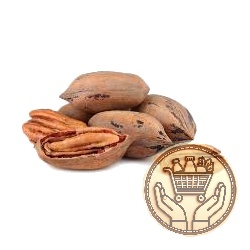 nuez pecan con cáscara 1kgs