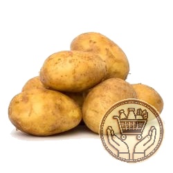 papa blanca 1kgs